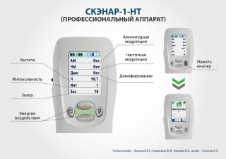 СКЭНАР-1-НТ (исполнение 01)  в Сысерти купить Медицинская техника - denasosteo.ru 